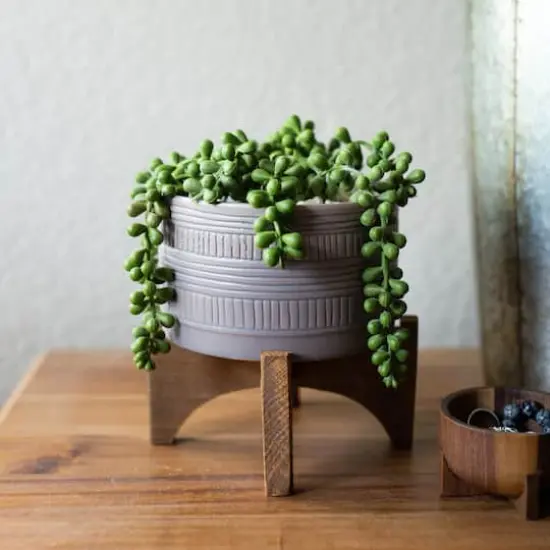 Flora Bunda 5" Matte Gray Pueblo Pot Planter With Wood Stand {4}