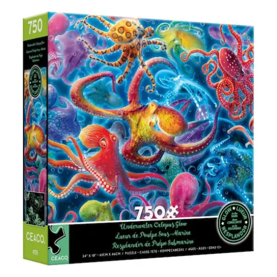 Assorted Deluxe 750 Piece Puzzle {24}