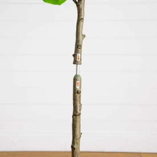 5ft. Artificial Petite Audrey Ficus Tree {7}