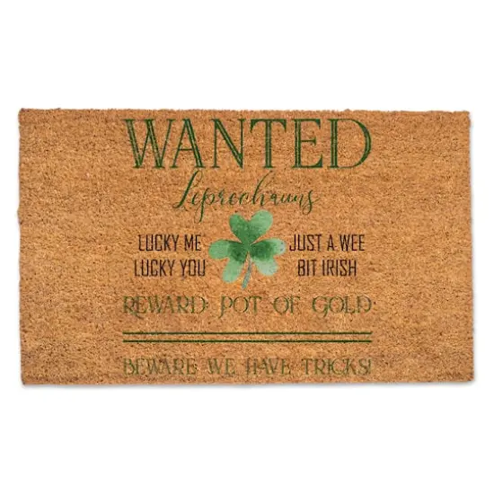 Leprechauns Wanted 30" x 18" Door Mat {1}