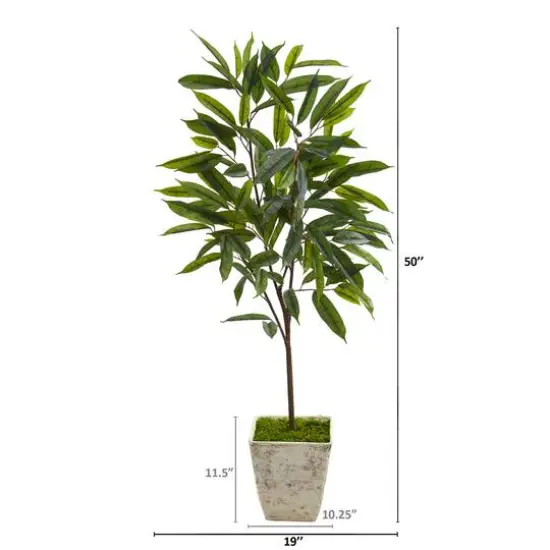4ft. Ficus in Country White Planter {3}