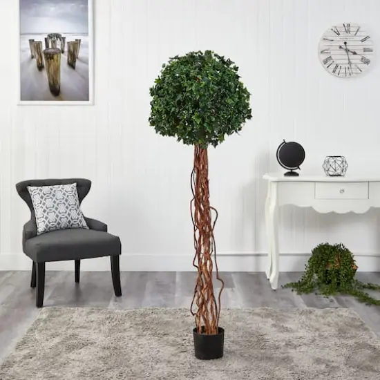5.5ft. Potted English Ivy Ball Topiary Tree {4}