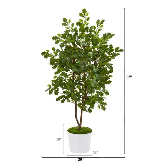 4ft. Oak Tree in White Tin Planter {3}