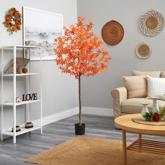 4ft. Potted Orange Autumn Maple Tree {5}