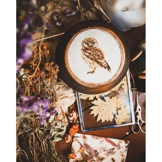Alisa Owl Cross Stitch Kit {3}