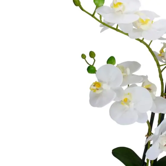 22" White Orchid Plant in White Oval Pot {5}
