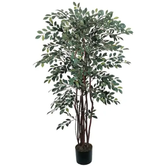 4ft. Potted Ruscus Tree {1}
