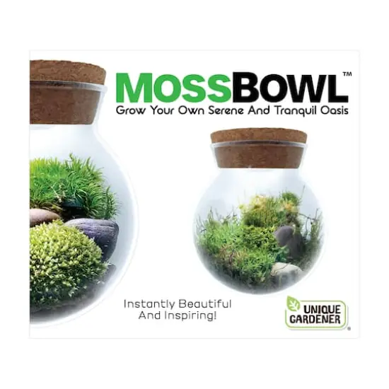 MossBowl - Grown Your Own Serene and Tranquil Oasis {3}