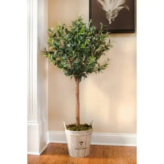 4.5ft. Olive Topiary Tree with Farmhouse Barrel Planter {6}
