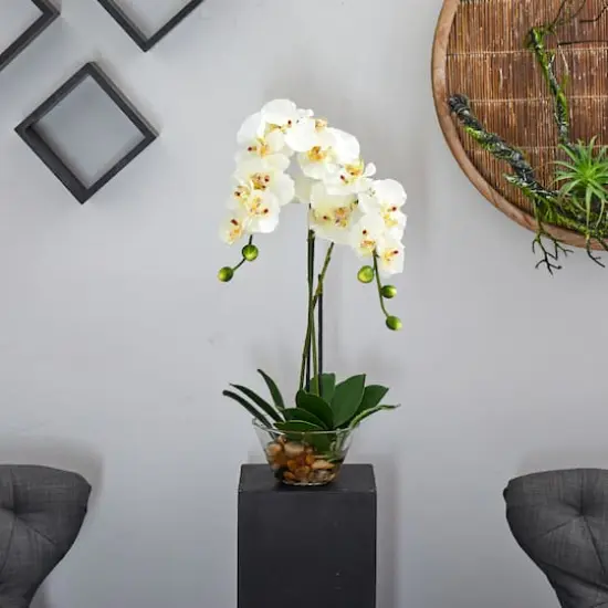 18" White Orchid Arrangement in Glass Vase {6}