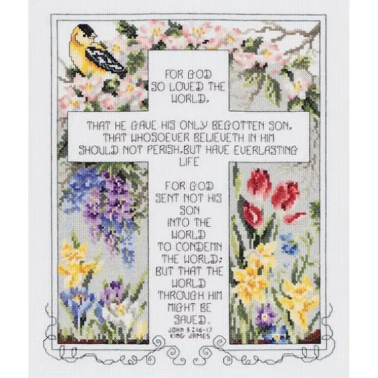 Janlynn&reg; John 3:16-17 Counted Cross Stitch Kit {1}