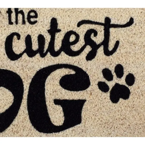 DII&reg; World's Cutest Dog Doormat {3}