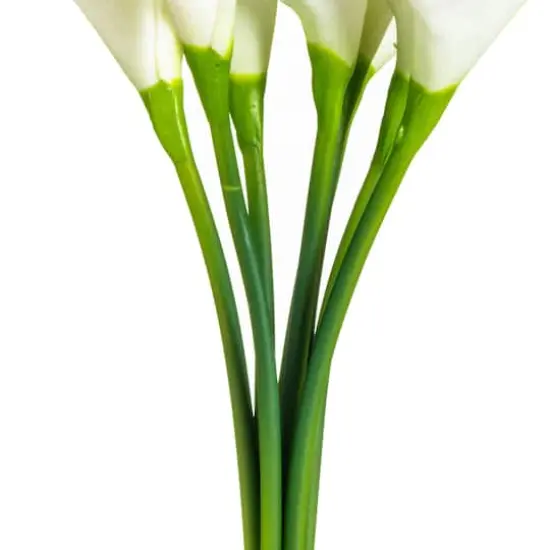 White Calla Lily Bundle {6}