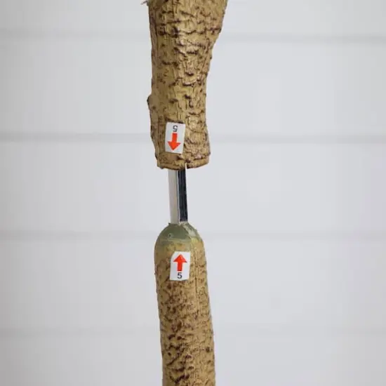 7ft. Artificial Audrey Ficus Tree {6}