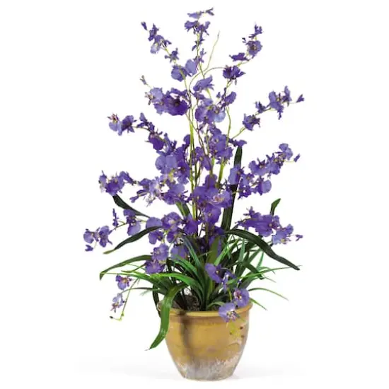 Dancing Lady Silk Orchid Arrangement {1}