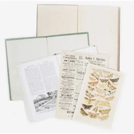 49 and Market Vintage Artistry Naturalist Bookplates {4}