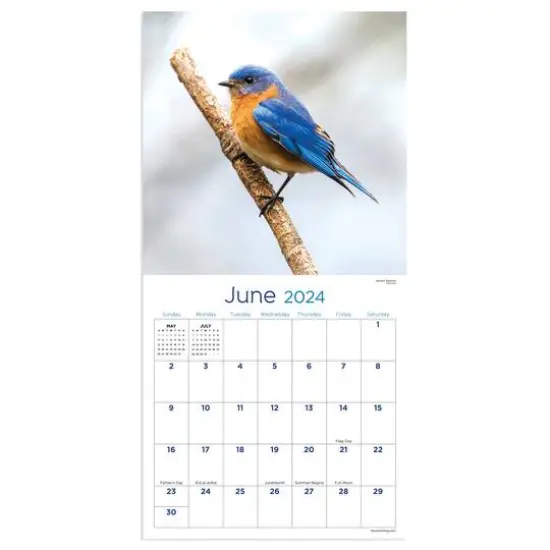 TF Publishing 2024 Backyard Birds Mini Calendar {4}