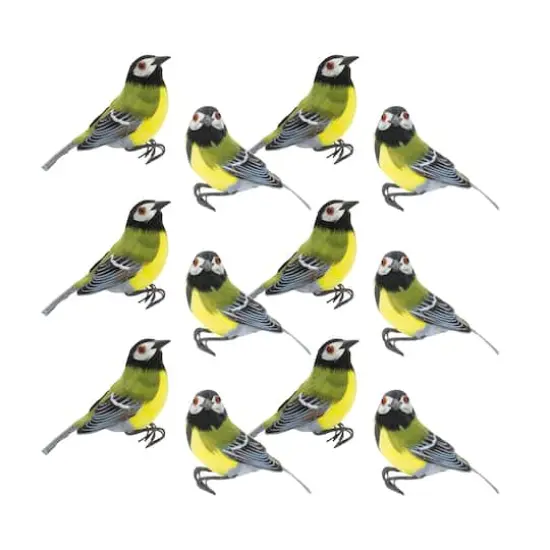 Foam & Feather Birds Decoration Set {1}