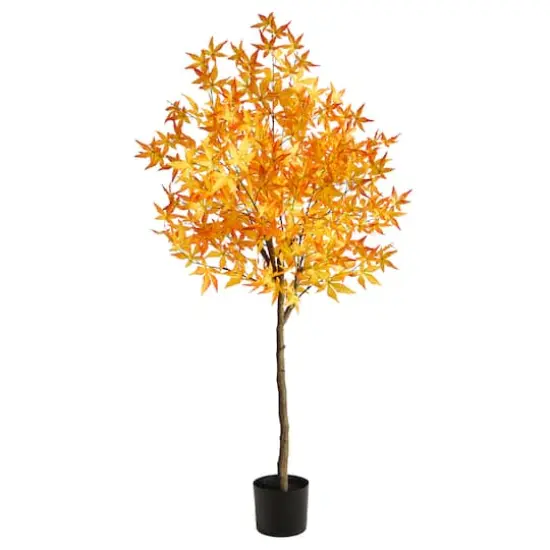 5ft. Potted Yellow Autumn Maple Tree {1}