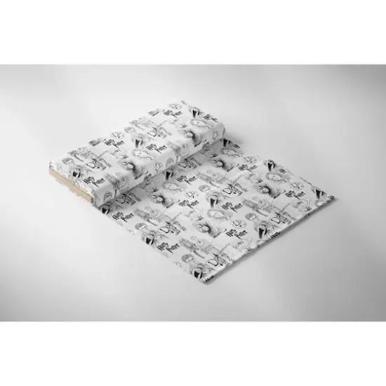 Harry Potter Mystery Magic Cotton Fabric 8yd. Bolt {4}