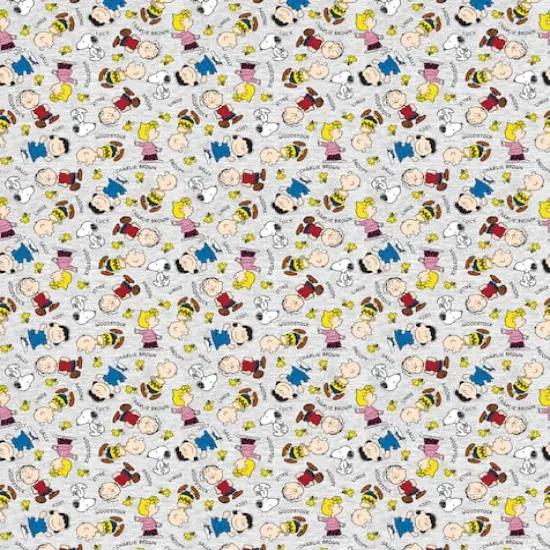 Peanuts Gang With Names Fabric {3}