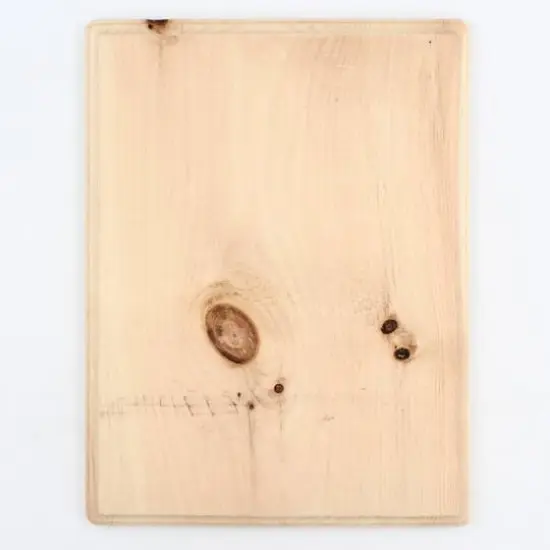 ArtSkills 9" x 12" Assorted Shapes Unfinished Wood Plaque Set {6}