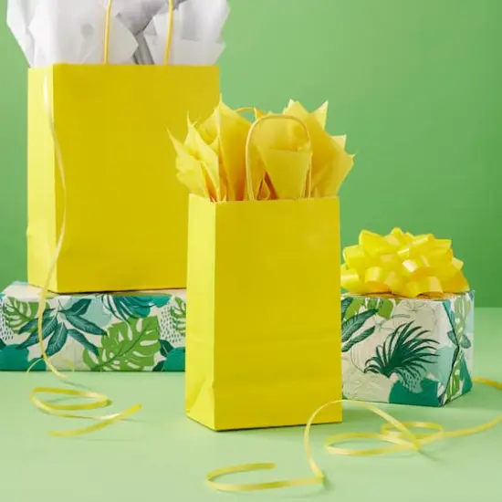Small Yellow Paper Bag Value Pack by Celebrate It&trade; {3}
