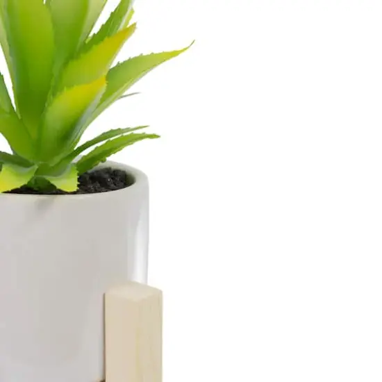 8.25" Potted Green Agave Plant with Wooden Stand {5}