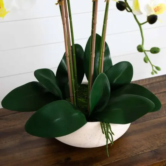 23" Orchid Arrangement in White Ceramic Planter {8}