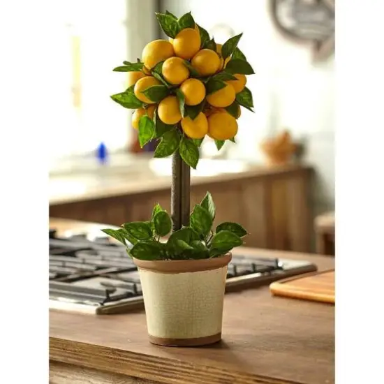 18" Potted Lemon Ball Topiary Arrangement  {7}