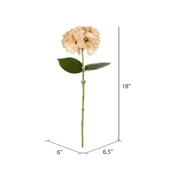 4 Pack: Beige Hydrangea Stem {3}