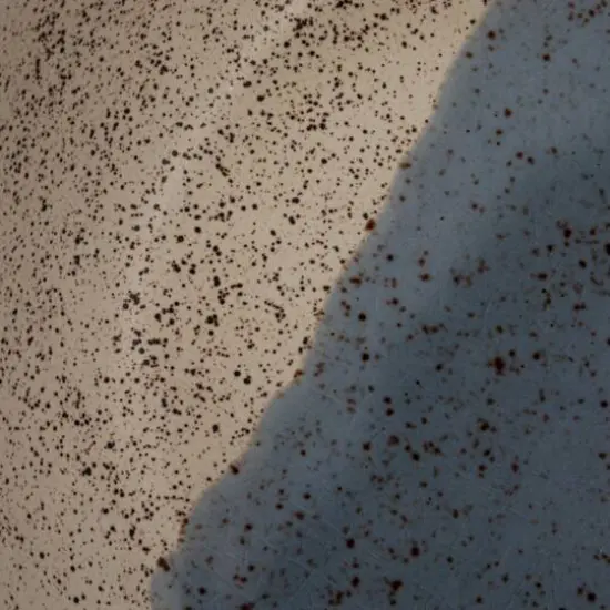 Hello Honey® 8.25" Blue & Cream Crackle Glaze Stoneware Serving Bowl {10}