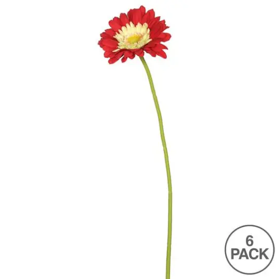 Red Gerbera Daisy Stem, 6ct. {4}