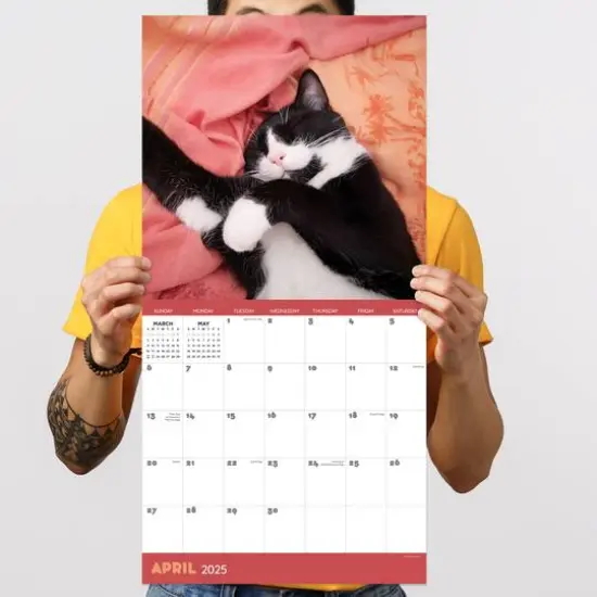 TF Publishing 2025 Cat Dreams Wall Calendar {5}
