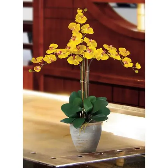 Triple Phalaenopsis Orchid Flower Arrangement In Ceramic Vase Yellow {3}