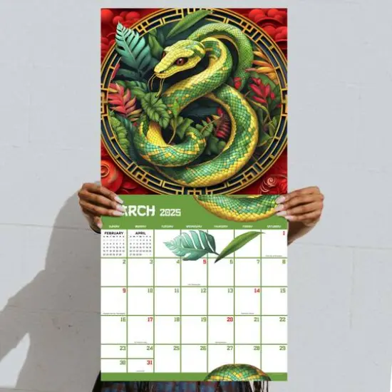 TF Publishing 2025 Year of the Snake Wall Calendar {6}