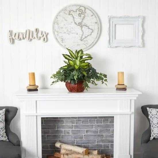 20" Dieffenbachia & Ivy In Decorative Planter {4}