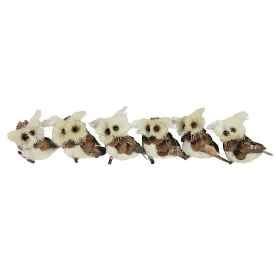 6ct. Brown & Ivory Sisal Owl Ornaments {1}