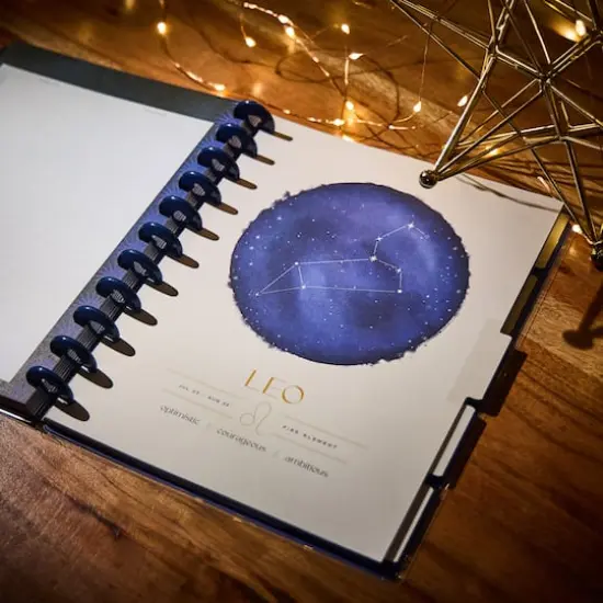 The Big Happy Planner&reg; Star Signs {9}