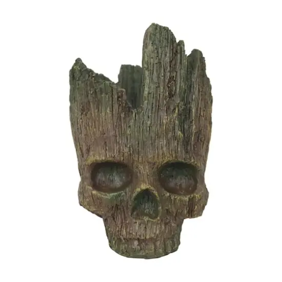 8.75" Skull Planter by Ashland&reg; {1}
