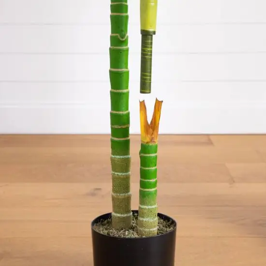 6ft. Potted Double-Stalk Golden Cane Palm Tree {6}