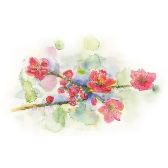 Kuretake GANSAI TAMBI&trade; 24 Color Watercolor Set {6}