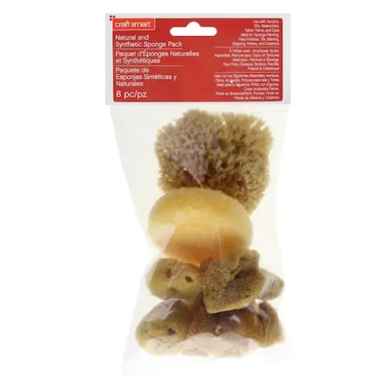 Variety Sponge Value Pack by Craft Smart&reg; {4}