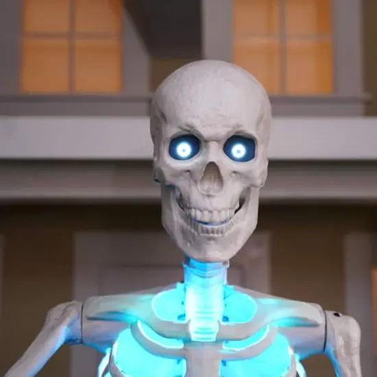 8ft. Skeleton by Ashland® {6}