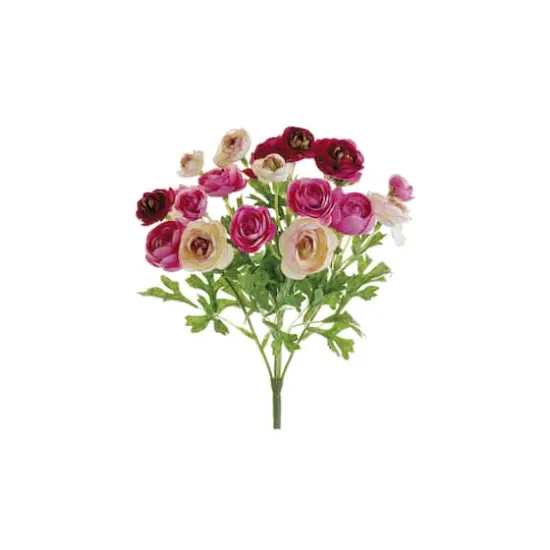 Pink Mini Ranunculus Bush  {1}