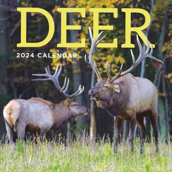 TF Publishing 2024 Deer Wall Calendar {1}