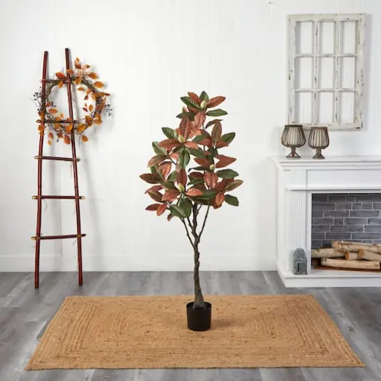 5ft. Potted Fall Magnolia Tree {5}