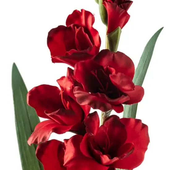 Gladiolus Stem by Ashland&reg; Dark Red {3}