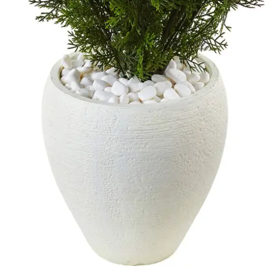 3ft. Cedar in Oval Textured Planter {4}