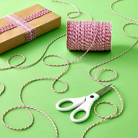 100yd. Twine by Celebrate It&trade; Pink {3}